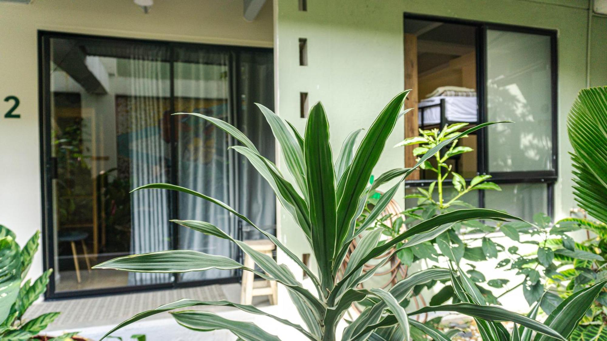 메딜린 Selva House B&B 외부 사진